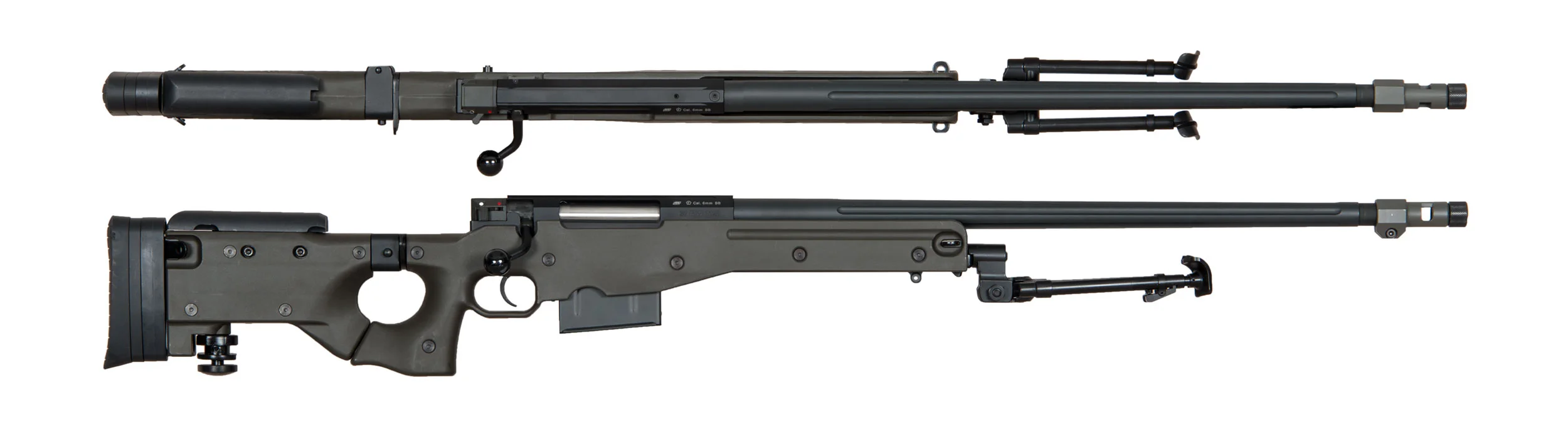 MSR008.jpg