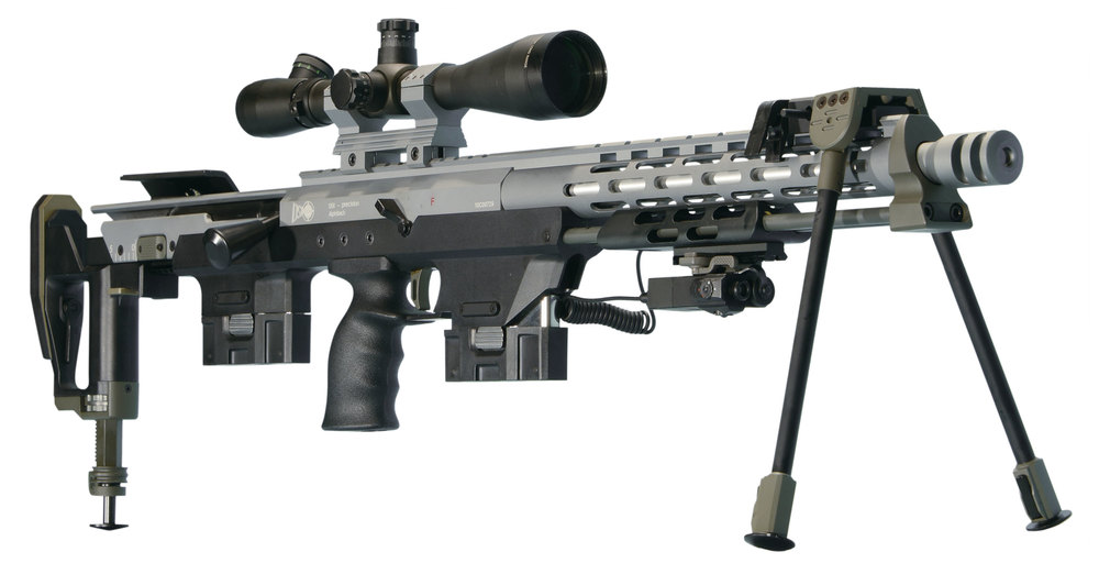 Ares 1 18 1. ДСР 1 винтовка. DSR-1 винтовка. Снайперская винтовка ДСР 1. Amp DSR-1 Custom.