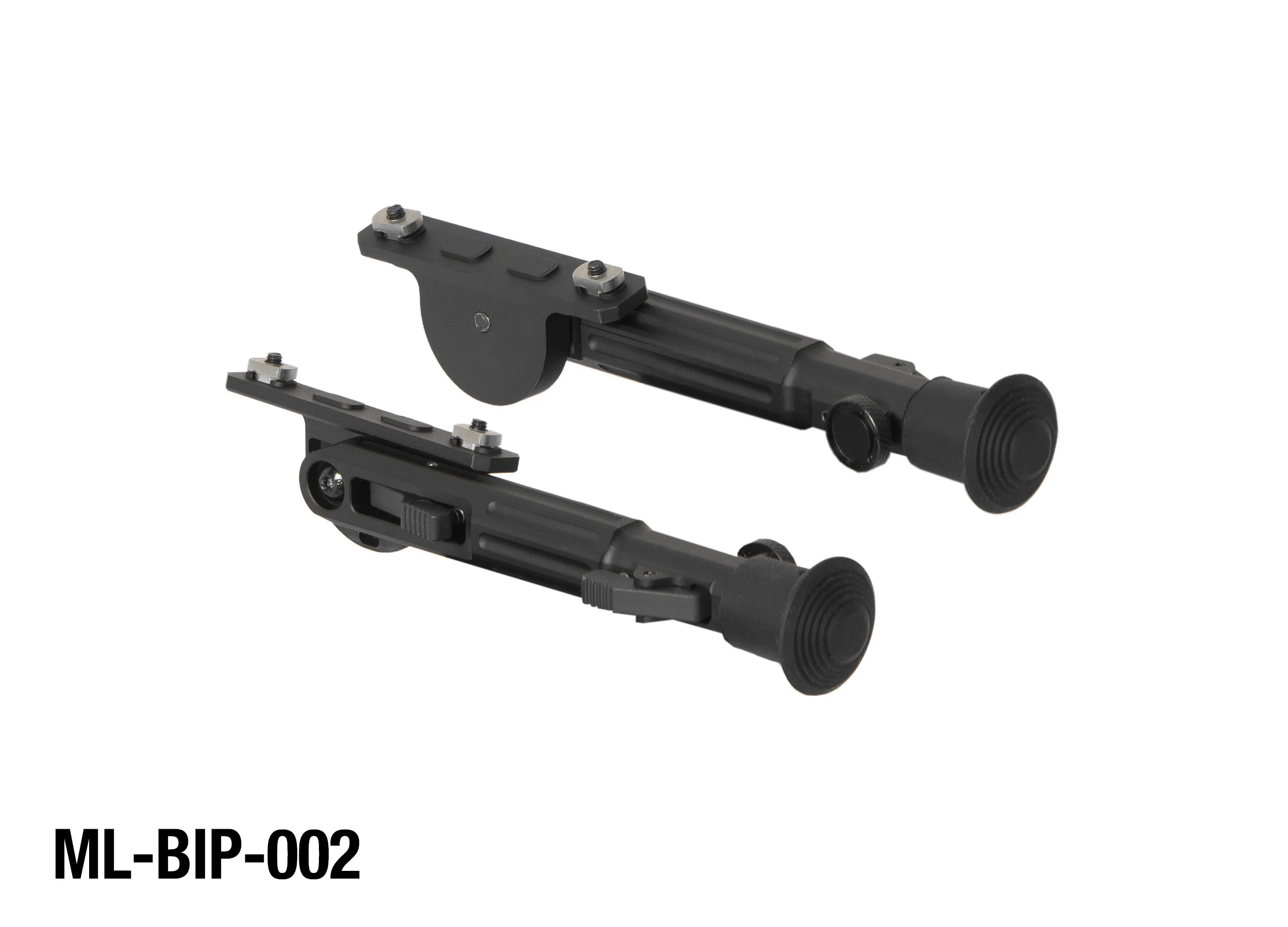 ML-BIP-002.jpg