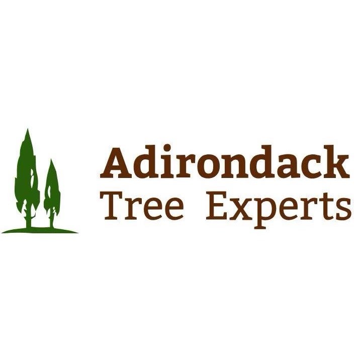 bronze_adirondack_square_logo.jpeg