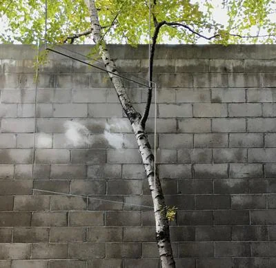 Noguchi-Museum-Miya-Ando-Installation-2018-04-400.jpg