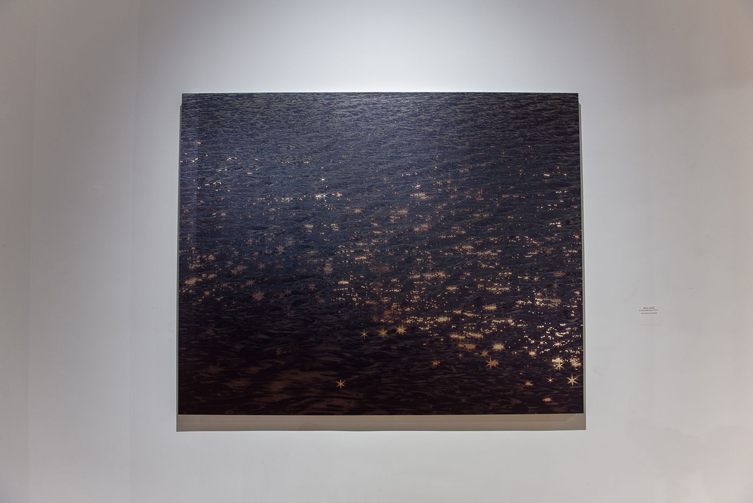  “WAVES BECOMING LIGHT” CORNELL ART MUSEUM, 2019 