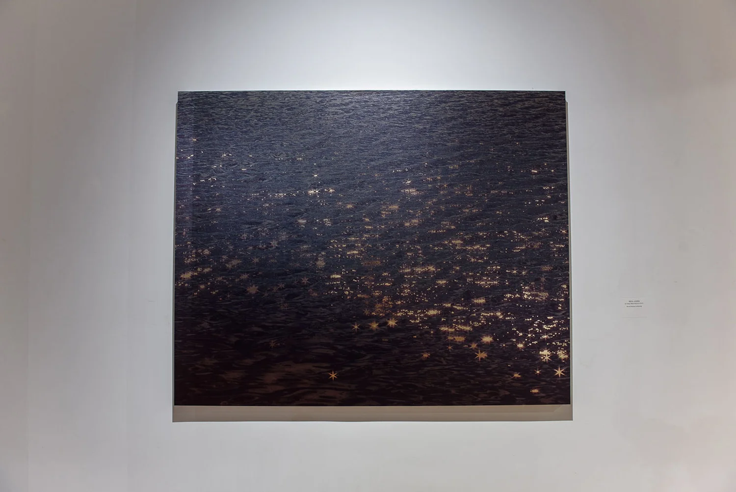 “WAVES BECOMING LIGHT” CORNELL ART MUSEUM, 2019