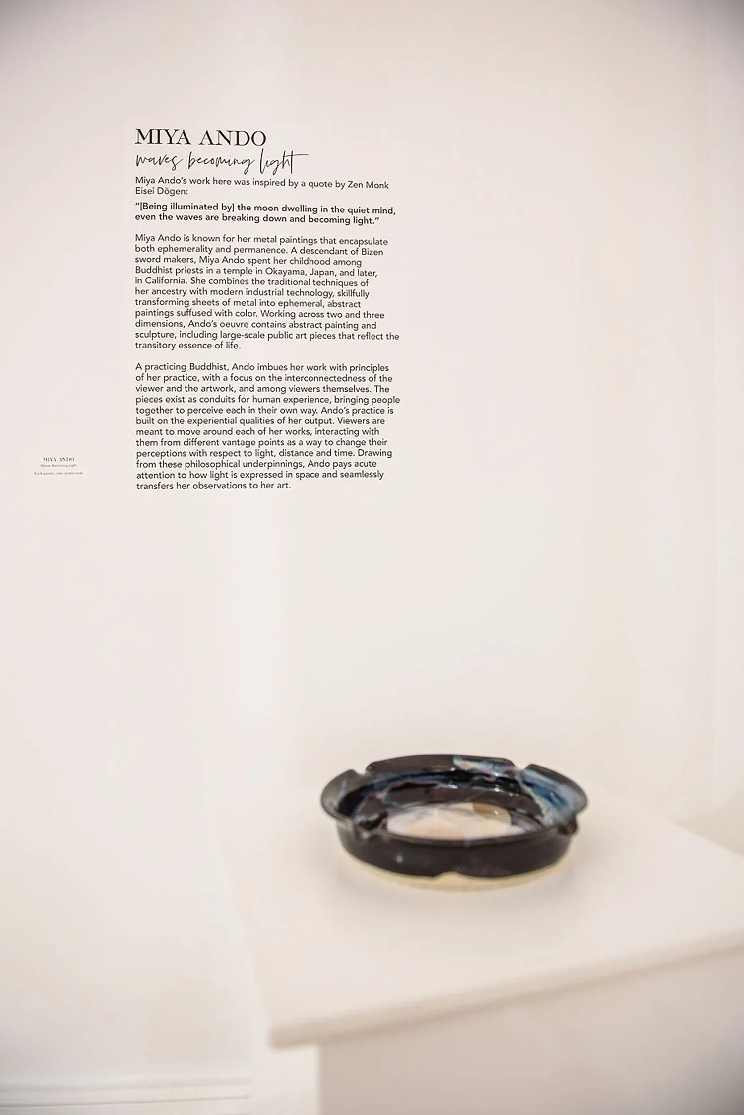 “WAVES BECOMING LIGHT” CORNELL ART MUSEUM, 2019