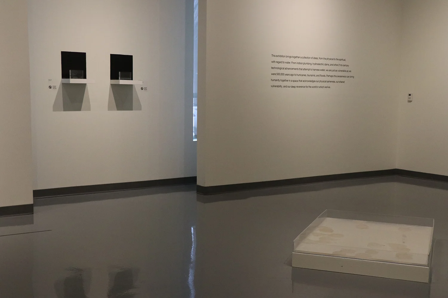“IN THEIR ELEMENT” SPARTANBURG ART MUSEUM, SOUTH CAROLINA 2018
