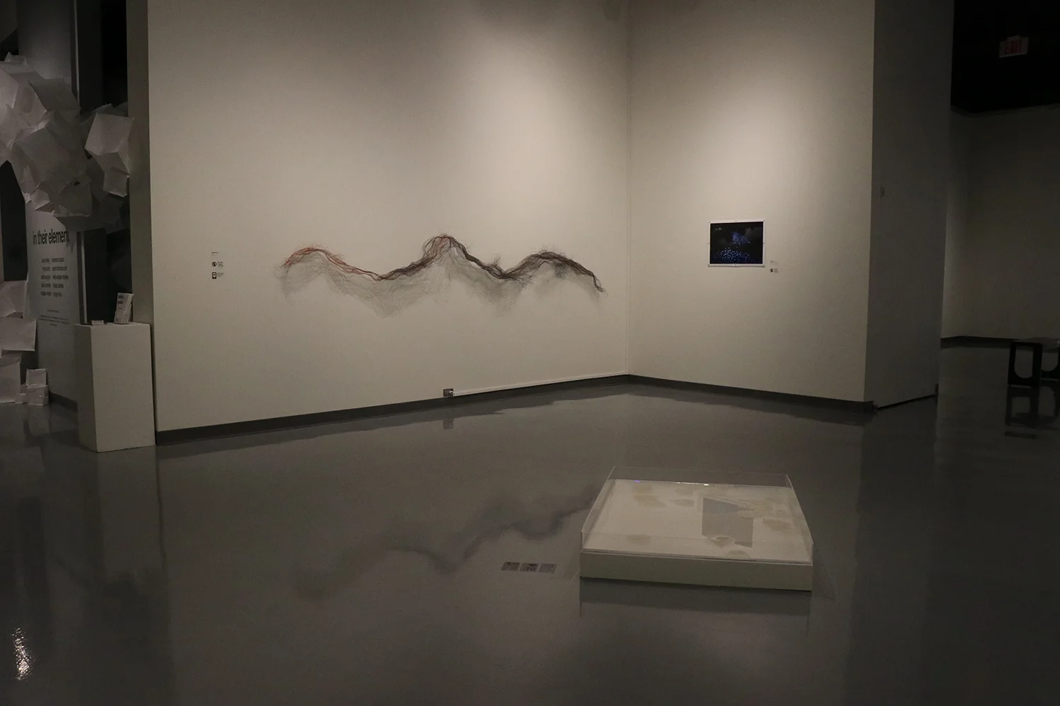 “IN THEIR ELEMENT” SPARTANBURG ART MUSEUM, SOUTH CAROLINA 2018
