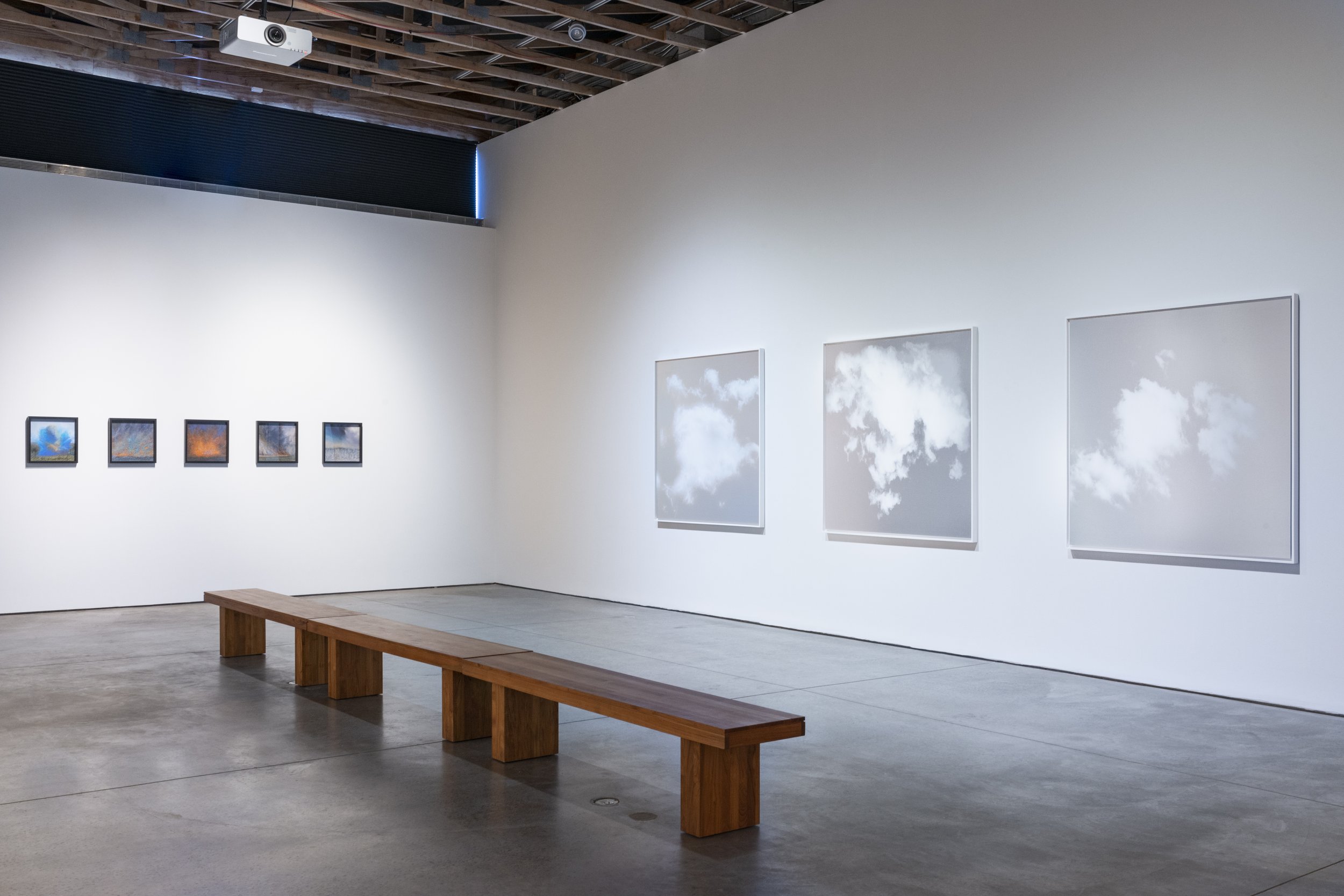 SMoCA_Collection_:_Recent_Acquisitions_Exhibition_Scottsdale_Museum_of_Contemporary_Art_Miya_Ando_3.jpg