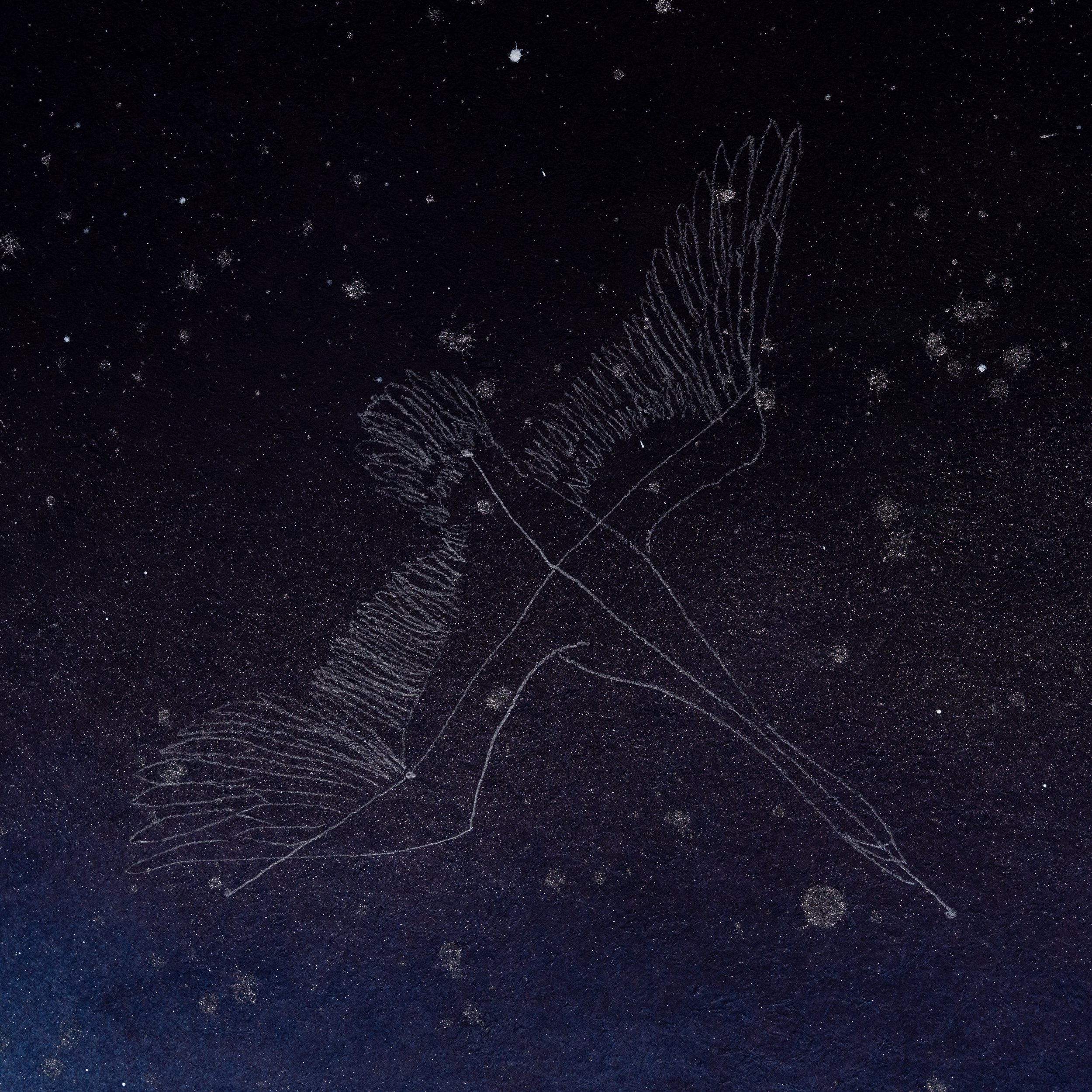 Engesso Cygnus (The Swan Above The Yard) Bolinas , CA 94924 Latitude- 37° 54' N Longitude- 122° 42' W November 25 2019 8-32 PM_11_Miya Ando.jpg