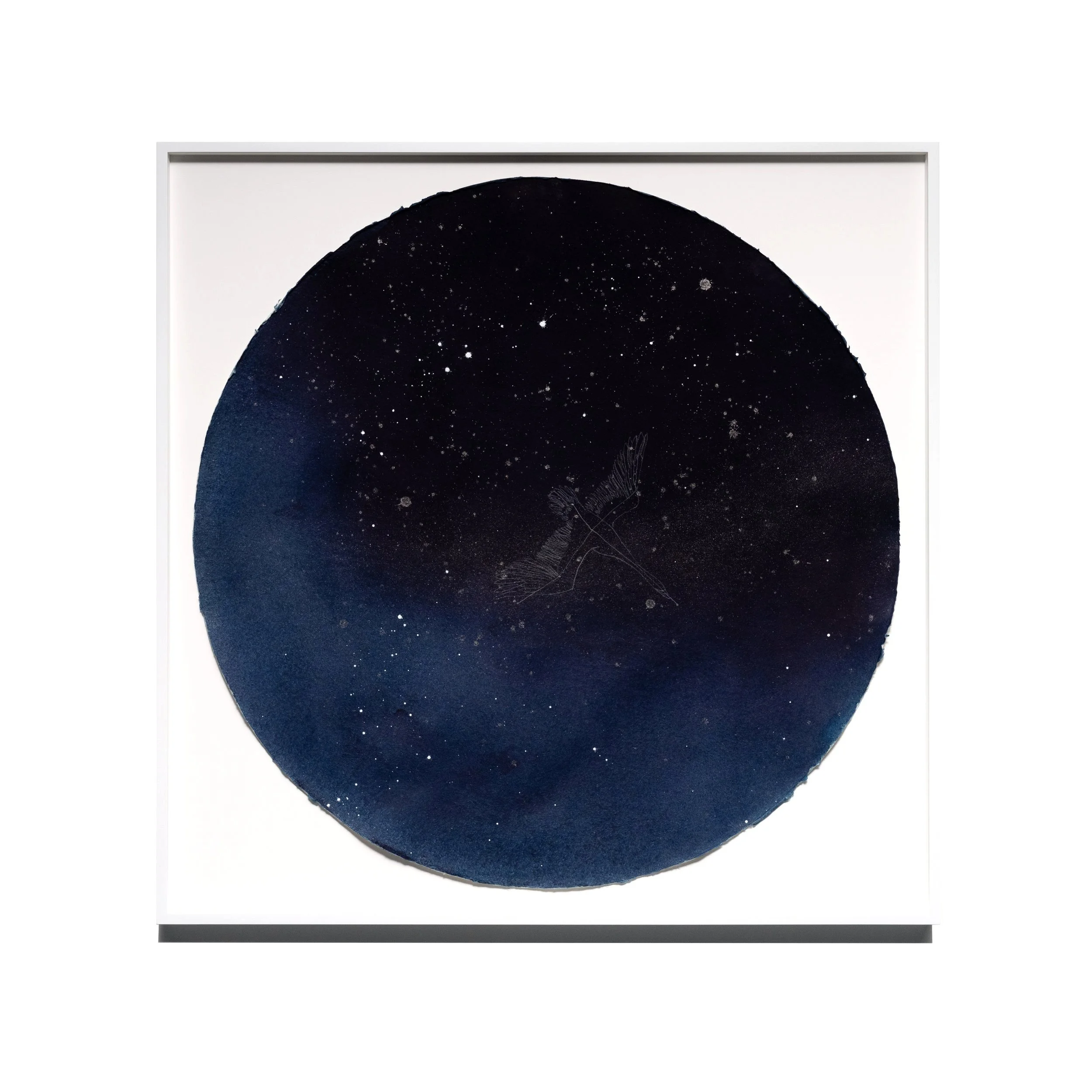 Enso%CC%84+Cygnus+%28The+Swan+Above+The+Yard%29+Bolinas+%2C+CA+94924+Latitude-+37%C2%B0+54%27+N+Longitude-+122%C2%B0+42%27+W+November+25+2019+8-32+PM_07_Miya+Ando.jpg