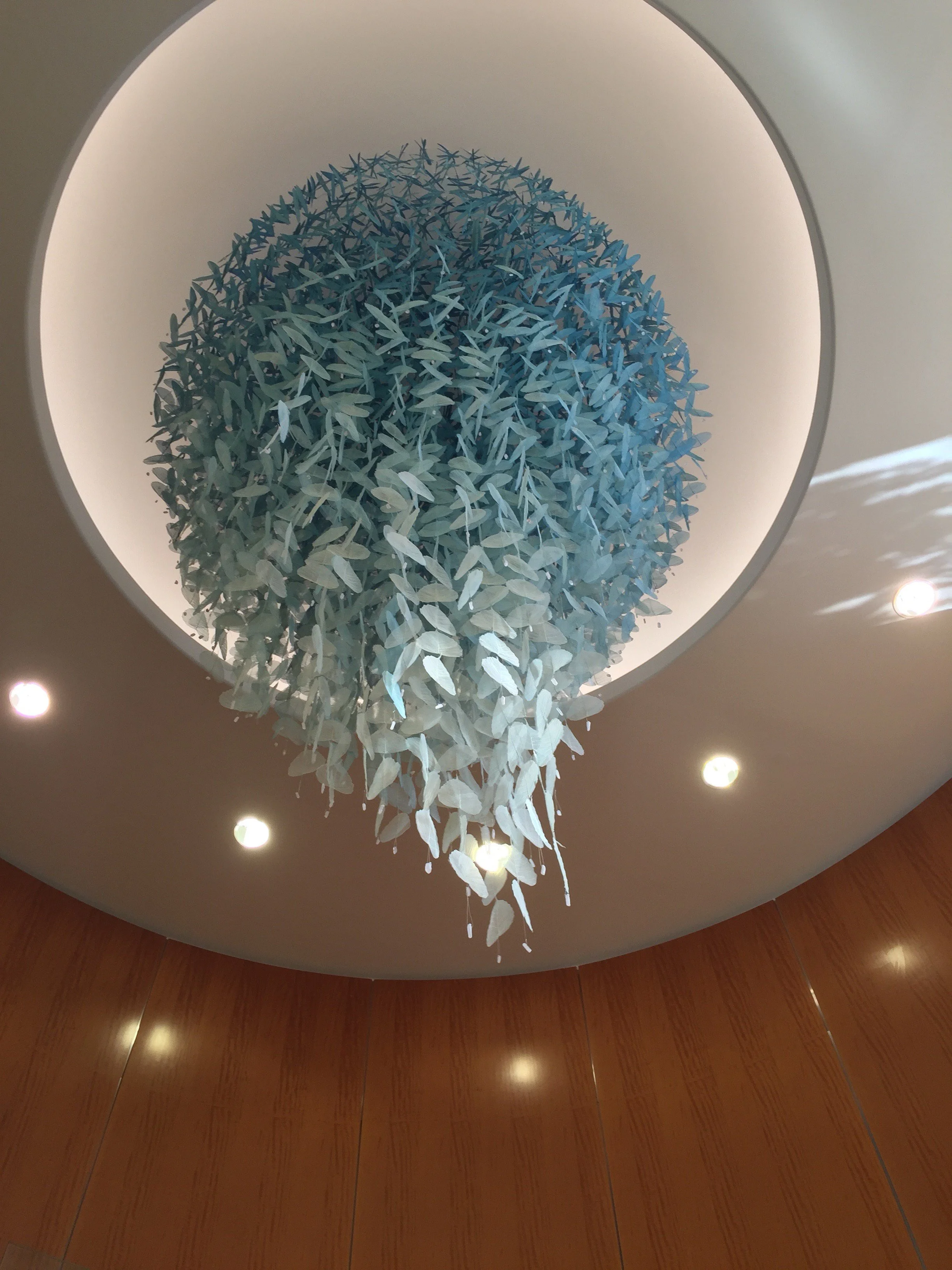 Montefiore Hospital Miya Ando 2015_2E.jpg