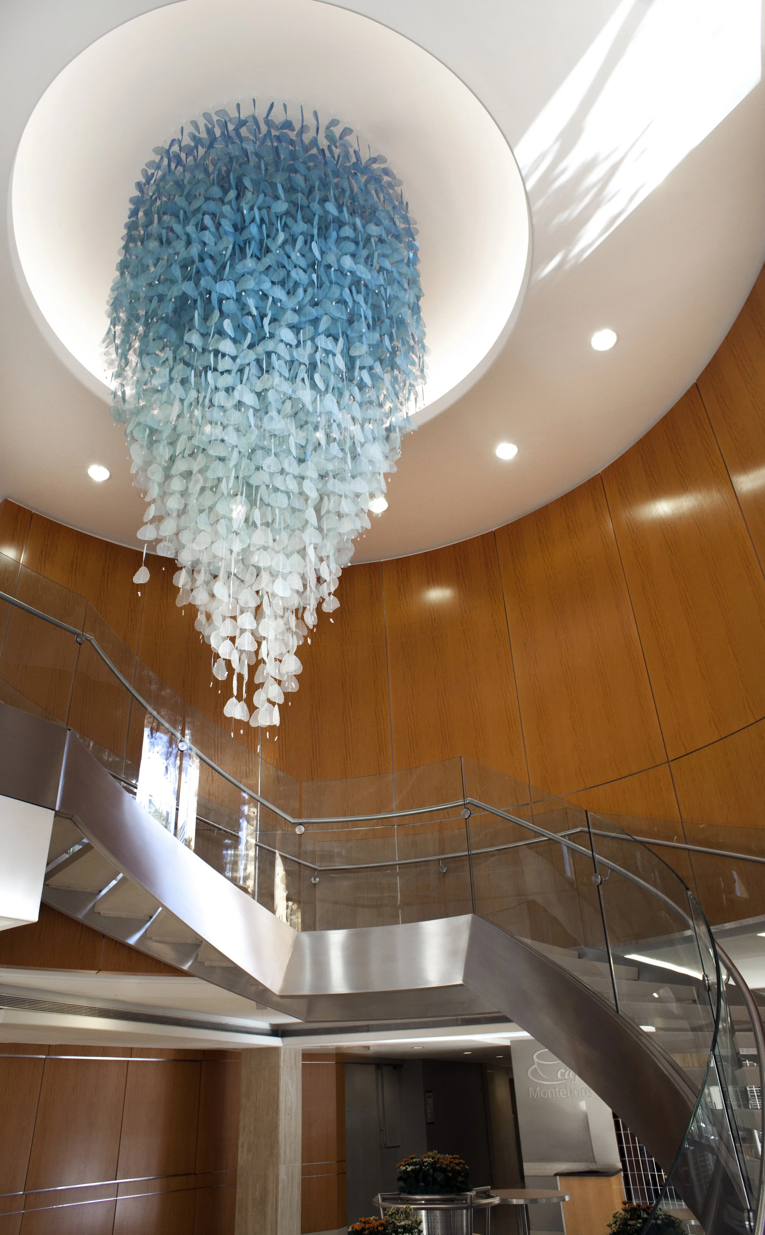 Montefiore Hospital Miya Ando 2015_4E.jpg