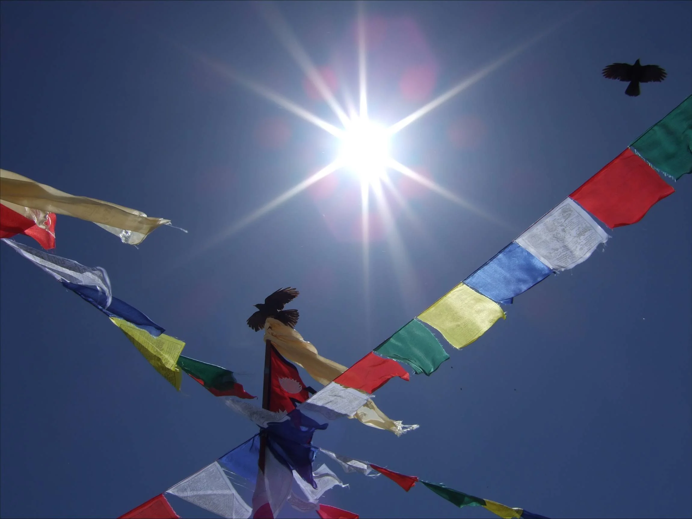 Prayer Flags and Choughs
