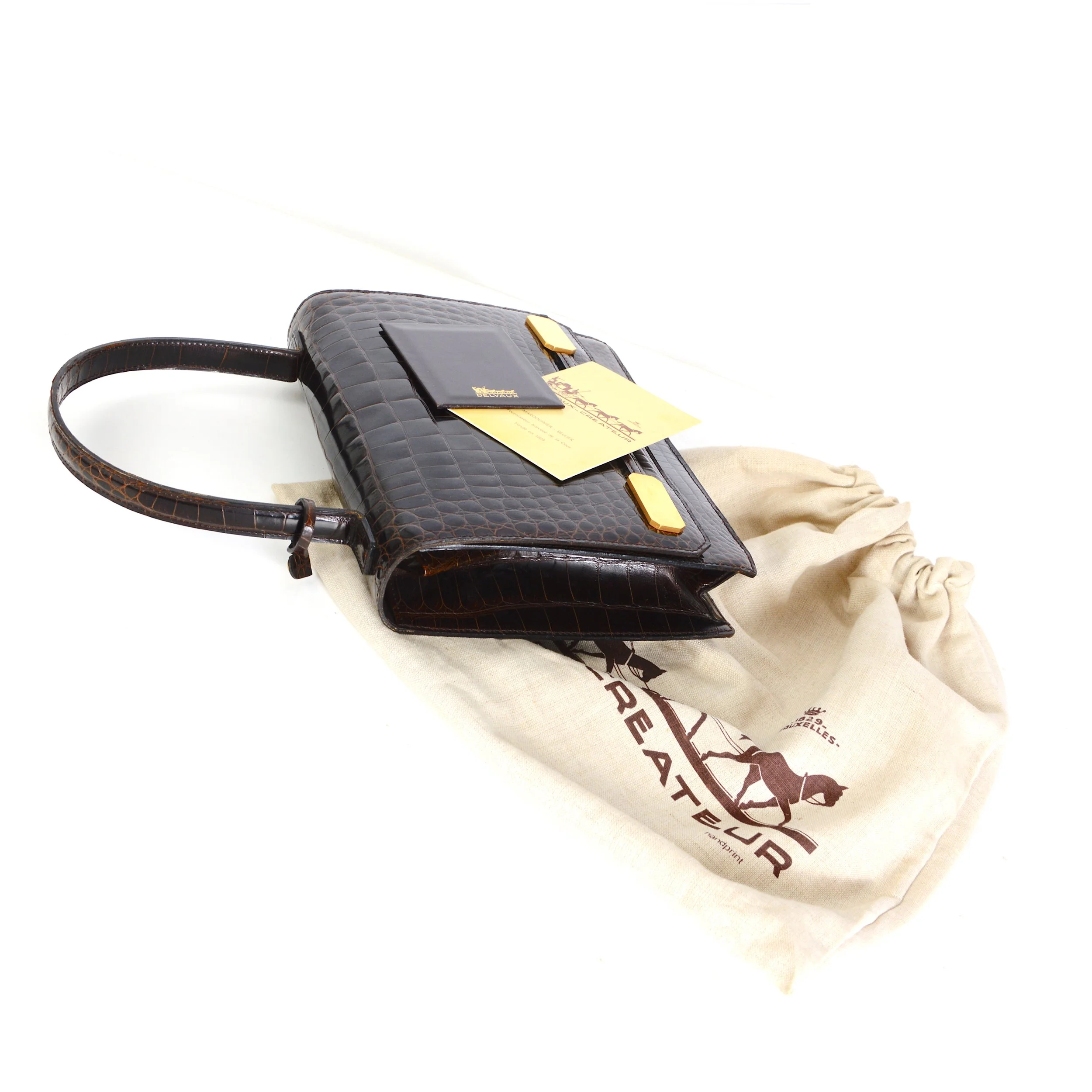Delvaux-croco-bag-3.jpg