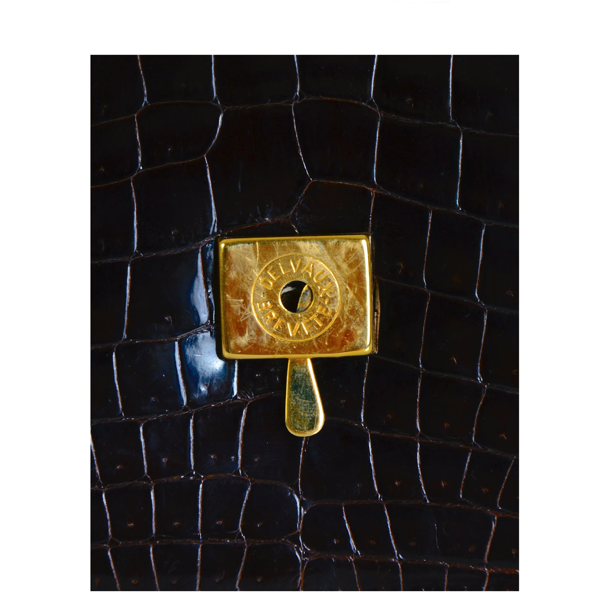 Delvaux-croco-bag-6.jpg