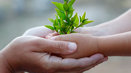 *Data purely informative. To obtain a personalized offer, please ask for a detailed price quote for your company.