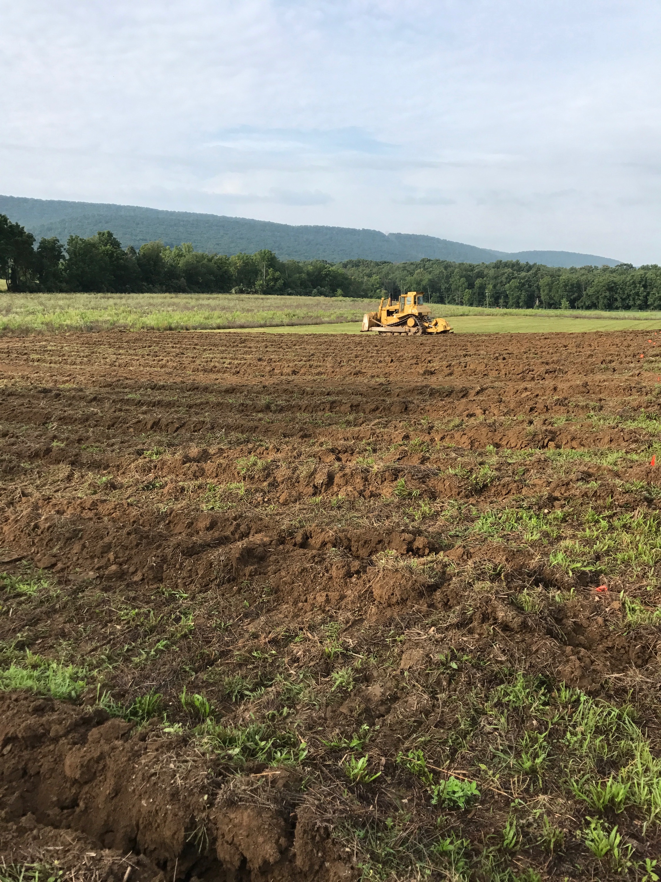   Vineyard prep.  