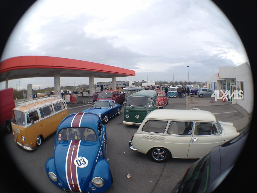 Rothfink at FreddyFiles / Ninove 2014
