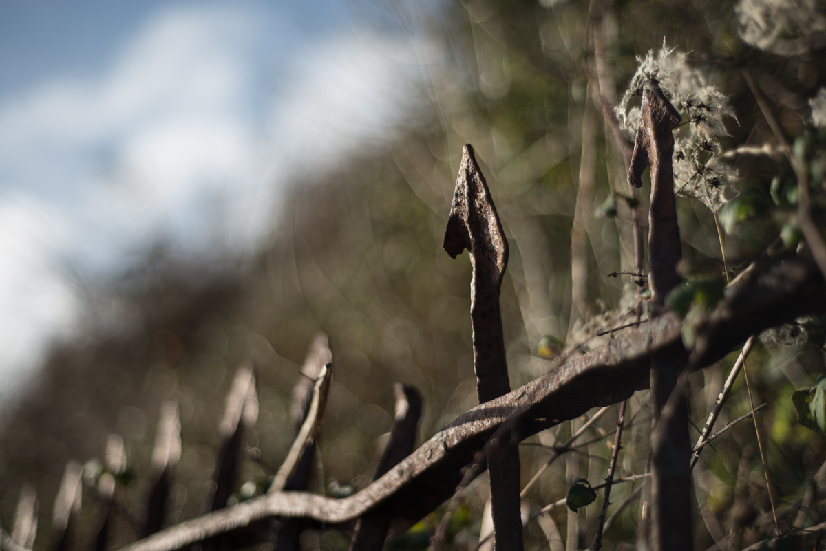 penarth_2015_by_alxmls-9