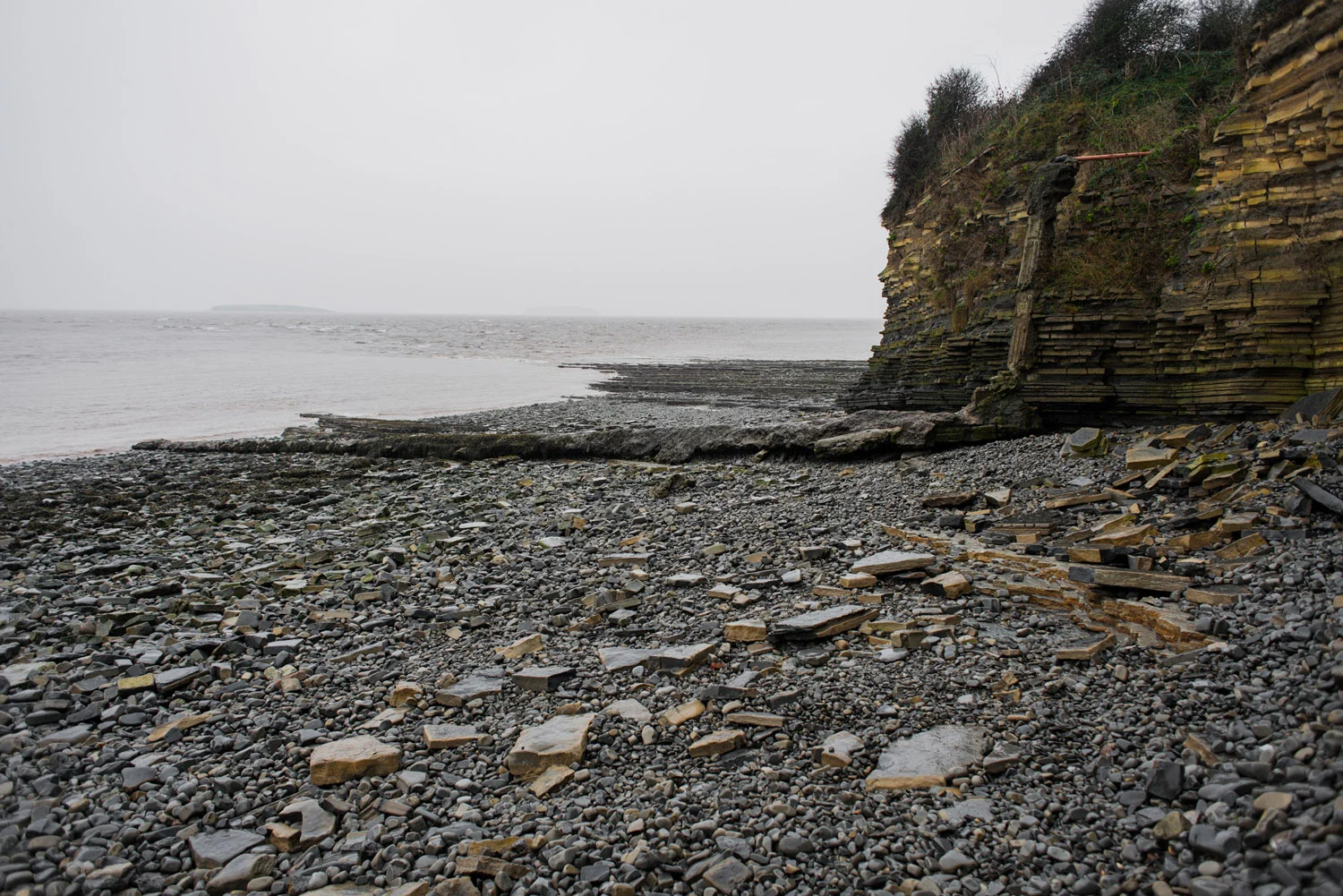 DSC_9973-edit.jpg