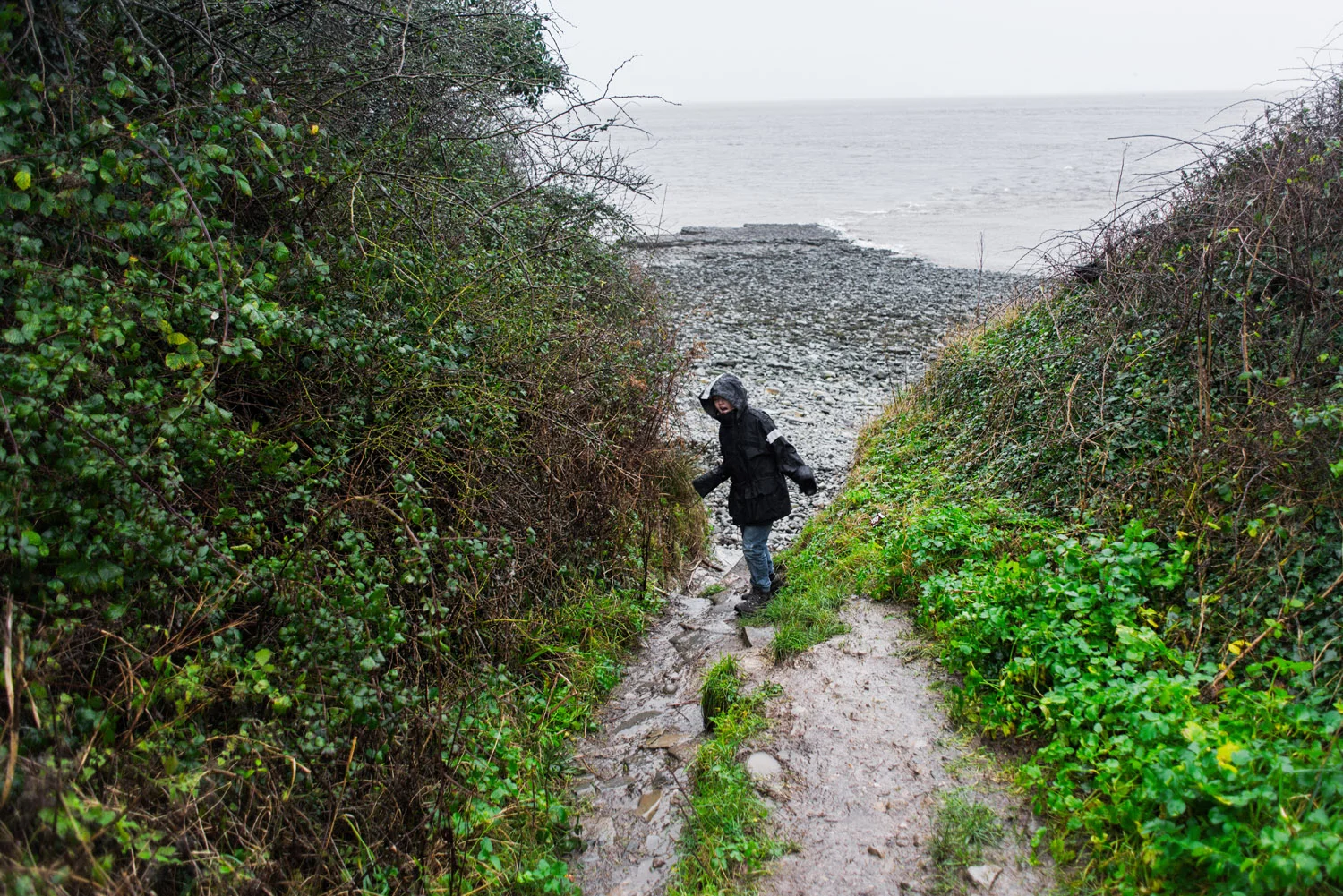 DSC_9972-edit.jpg