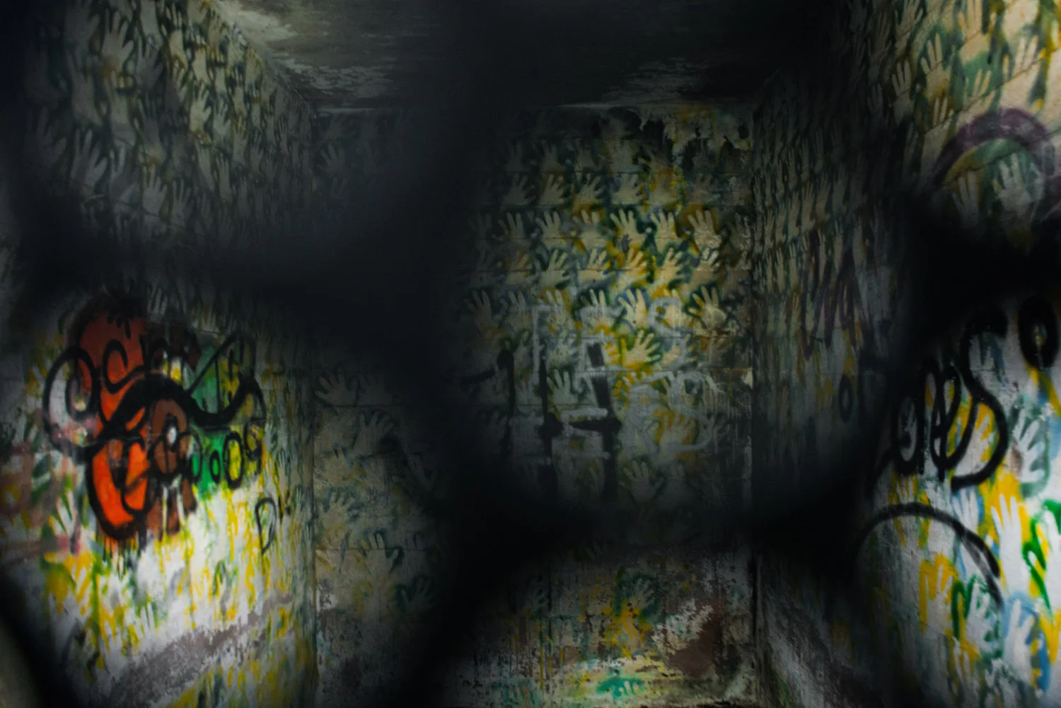DSC_0084-edit.jpg