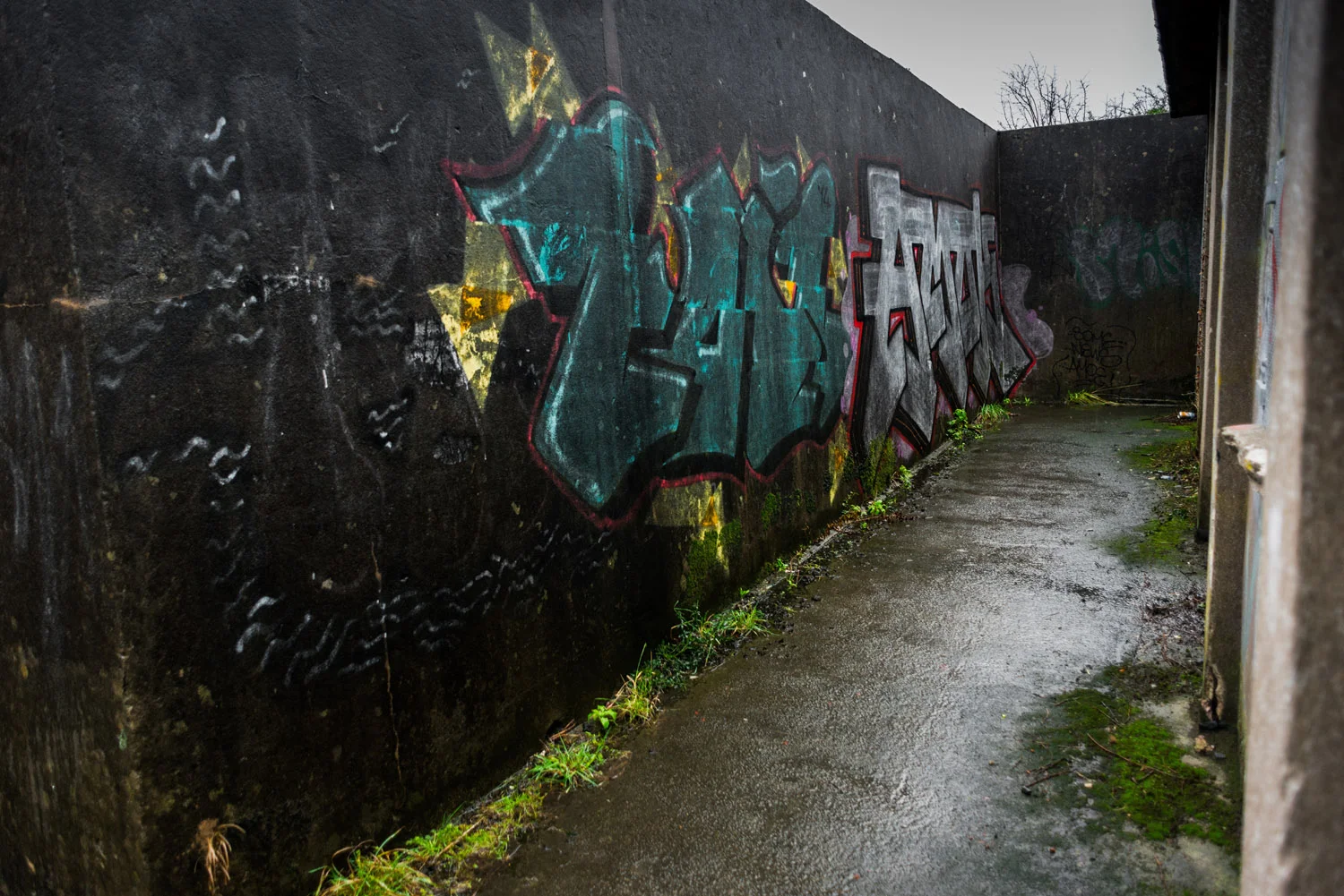 DSC_0055-edit.jpg