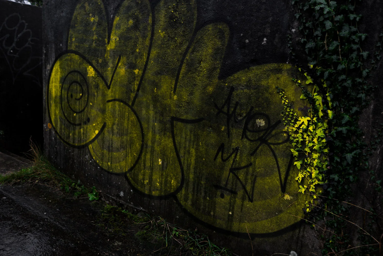 DSC_0048-edit.jpg