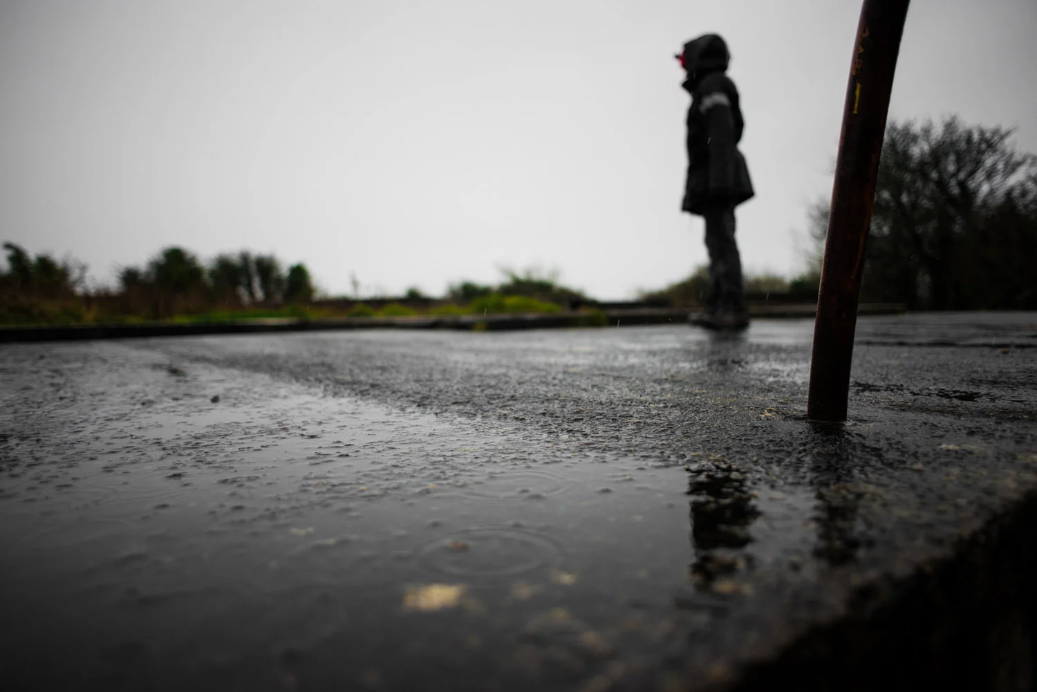 DSC_0033-edit.jpg