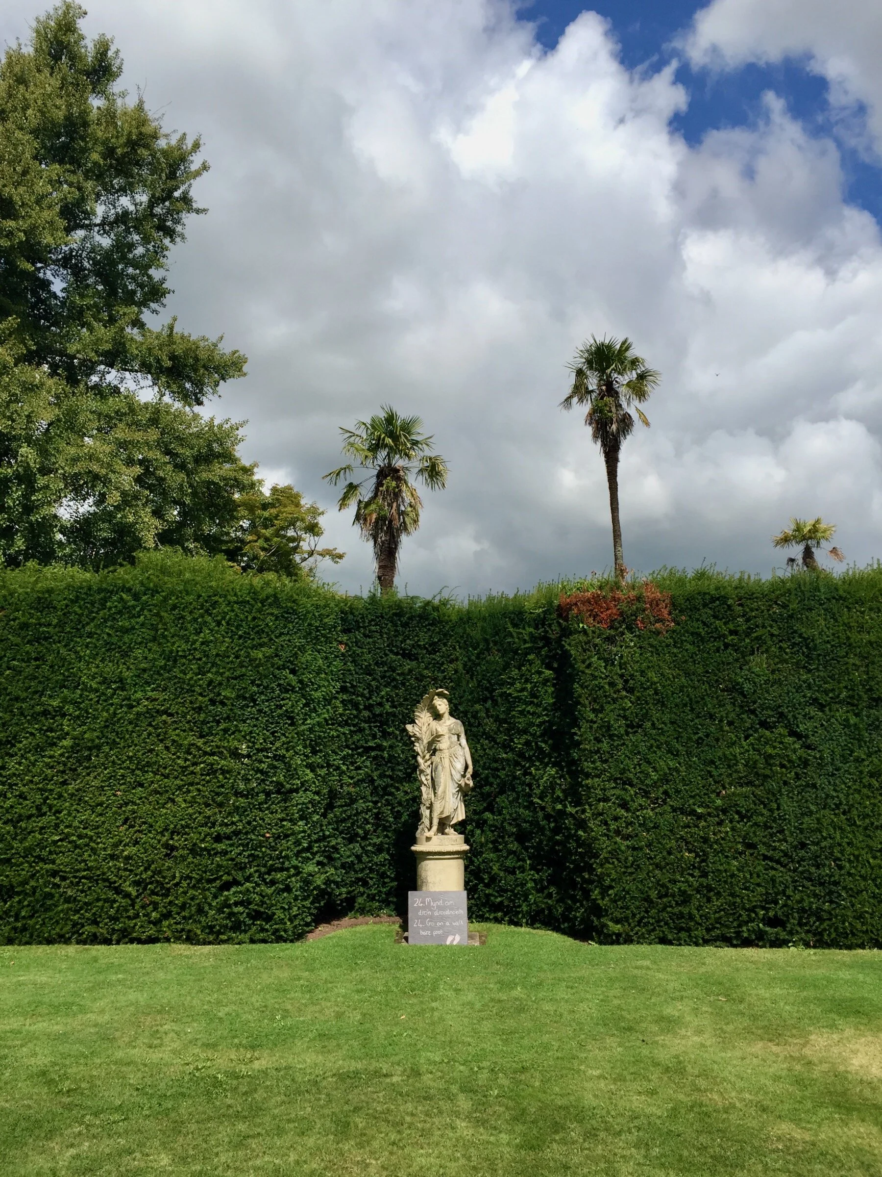 2015-08-15 12.30.04.jpeg