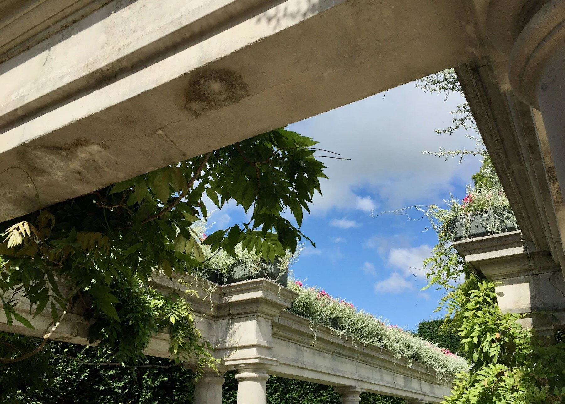 2015-08-15 12.41.52.jpeg