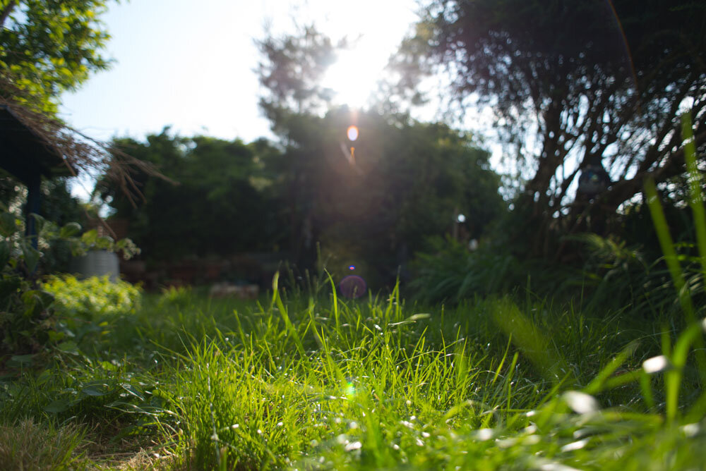 Best lens for travel? The 24mm
