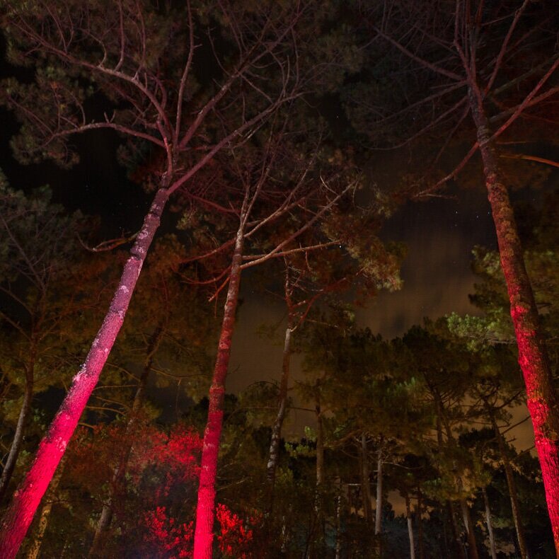 Night time shooting test this summer