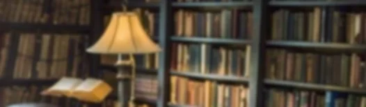 Bookshelf - lowres.JPG