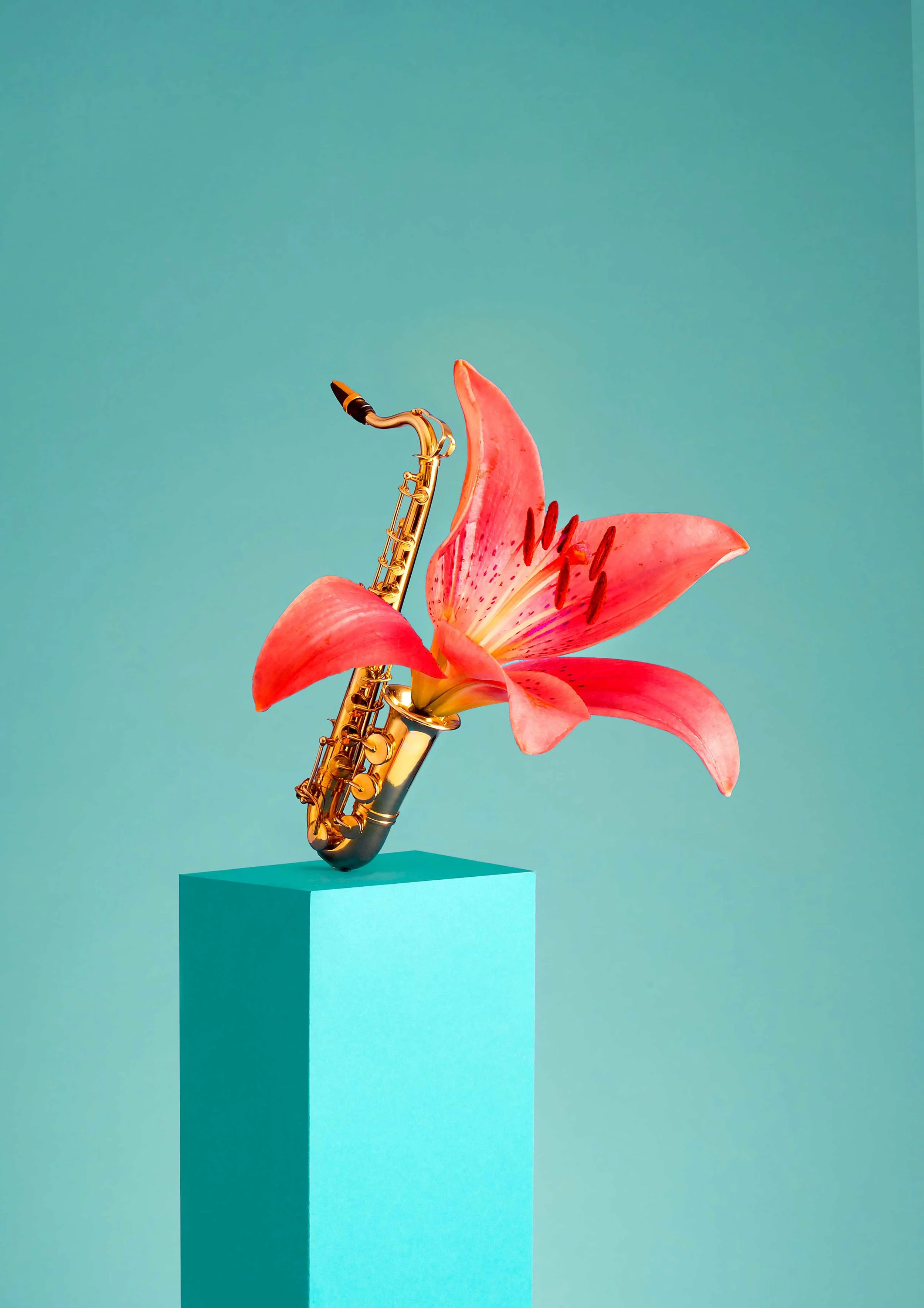 Ode-aan-de-sax.jpg