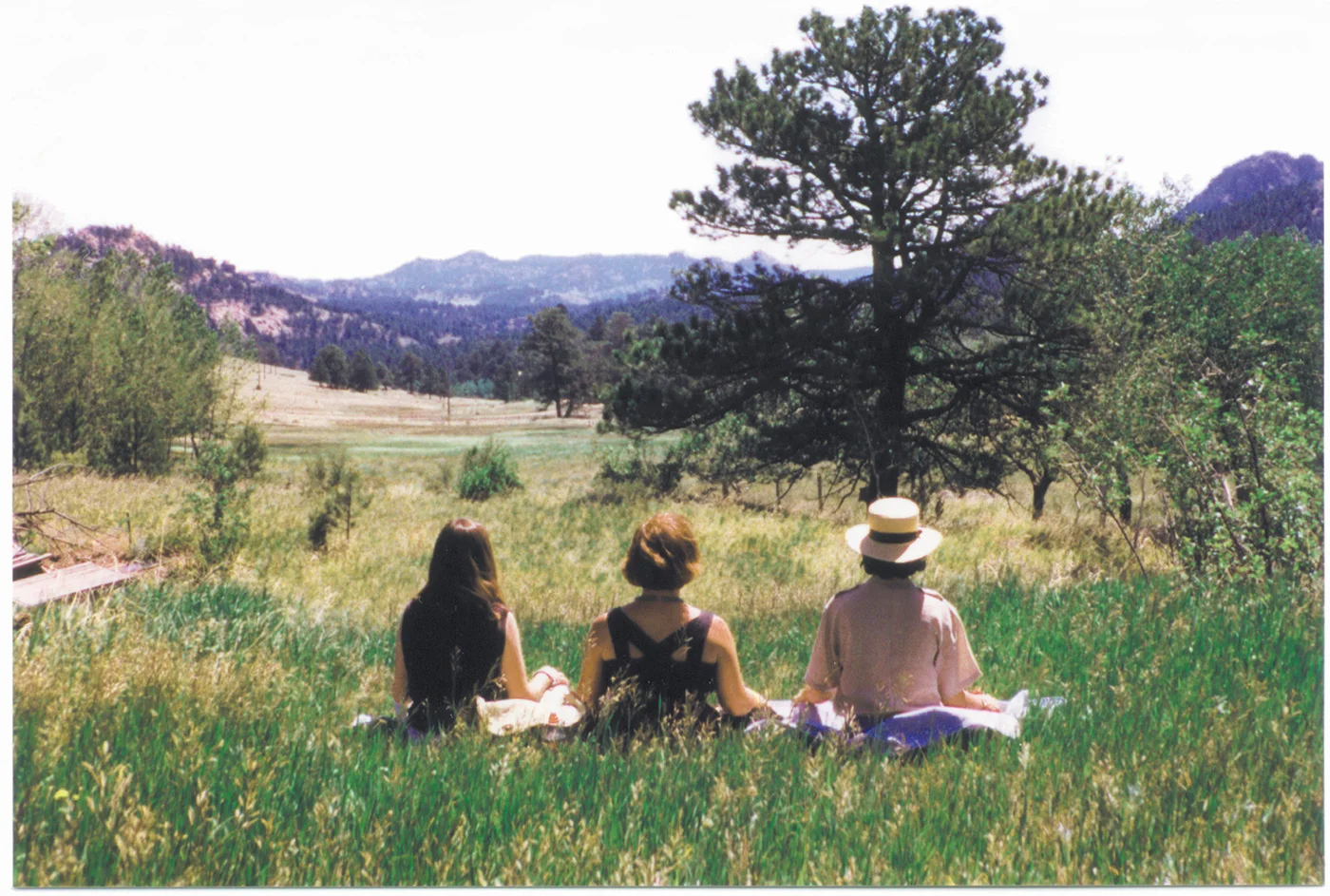 three-meditators.jpg