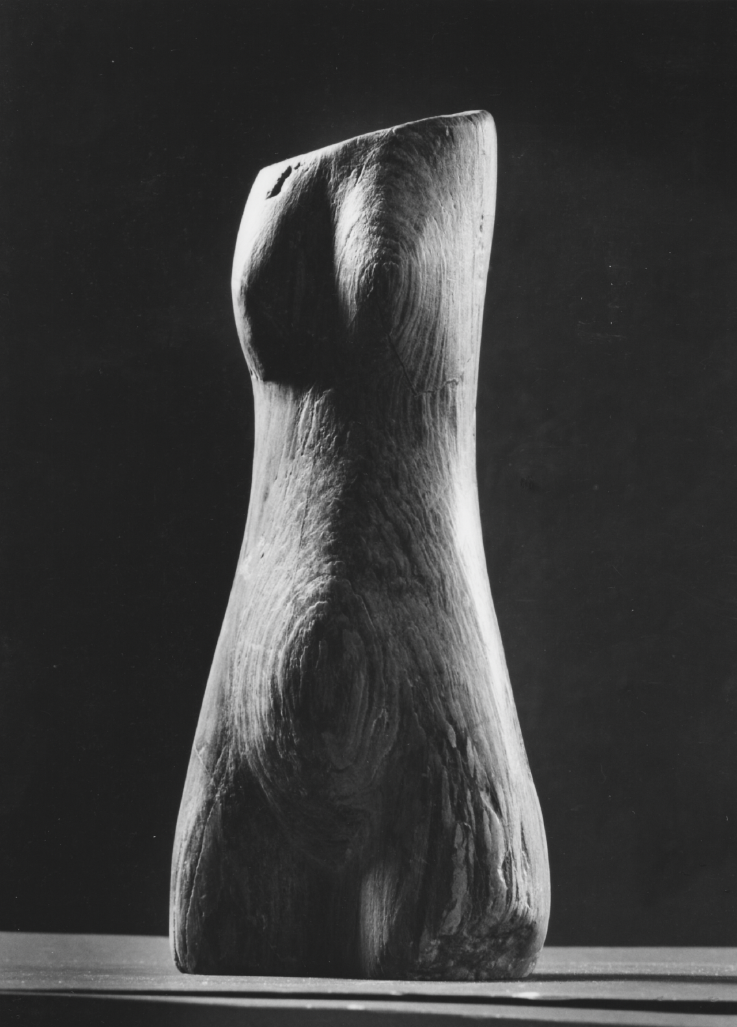 Torso