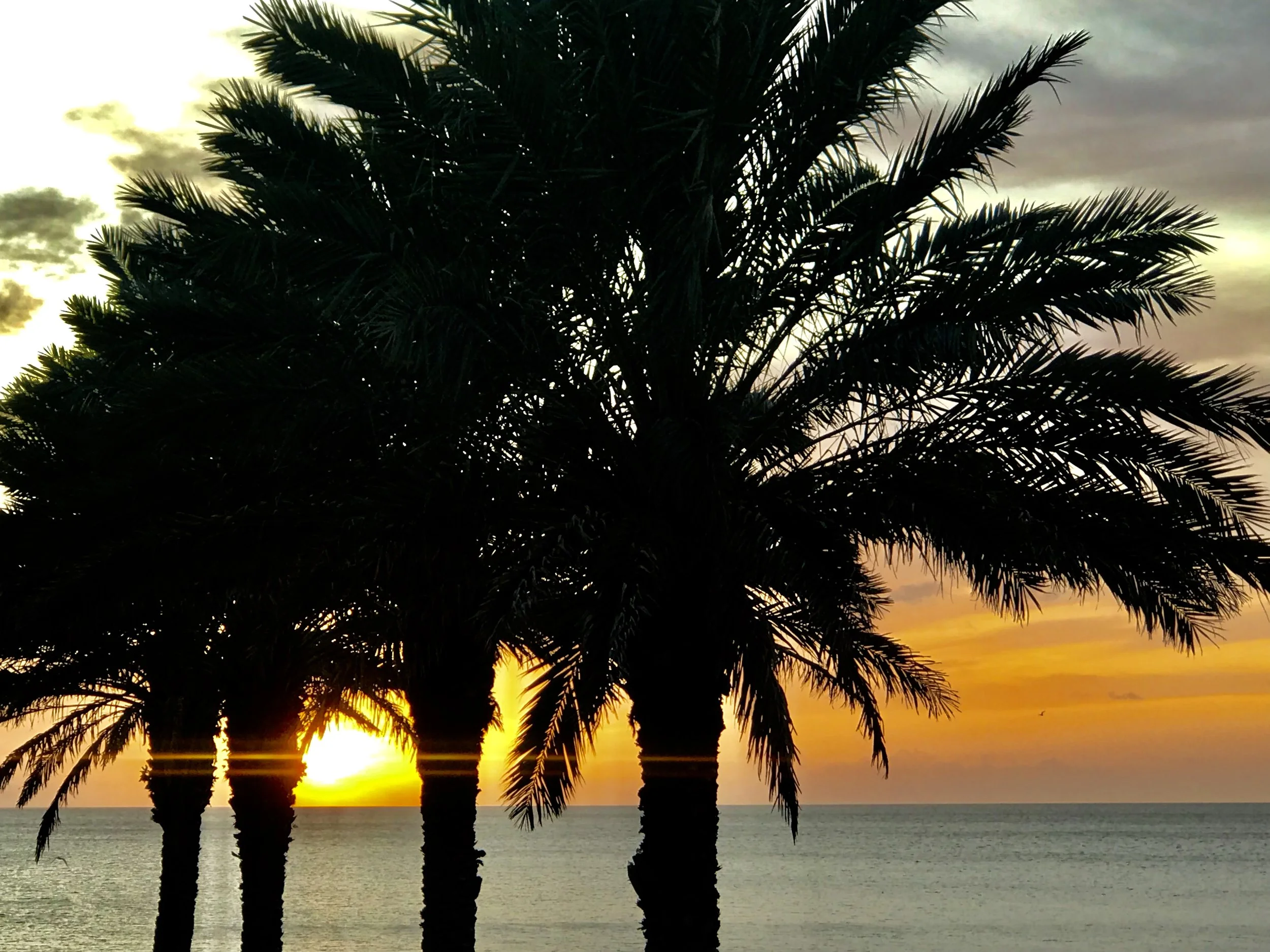 Season in South Florida