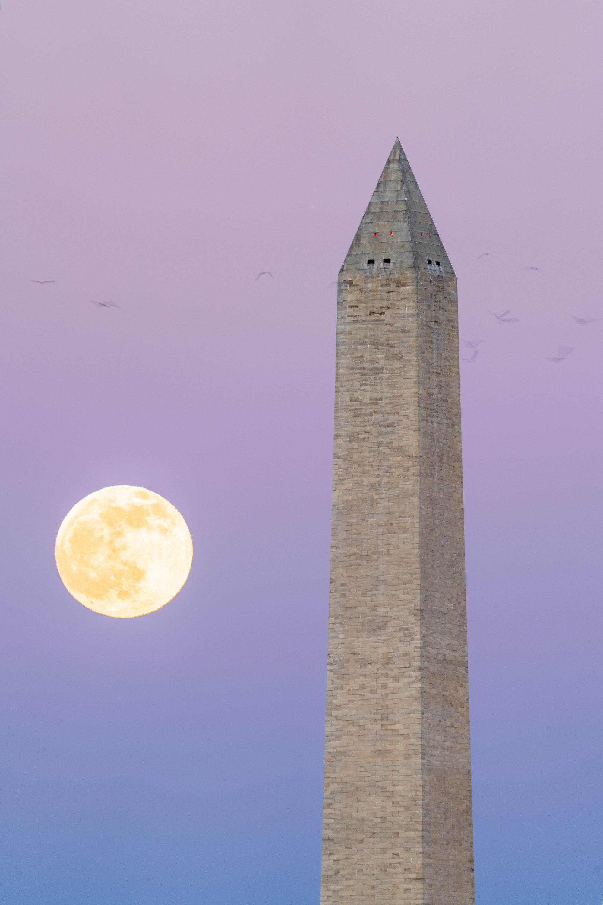 Washington Monument with Moon rising 65-1-HDR.jpg