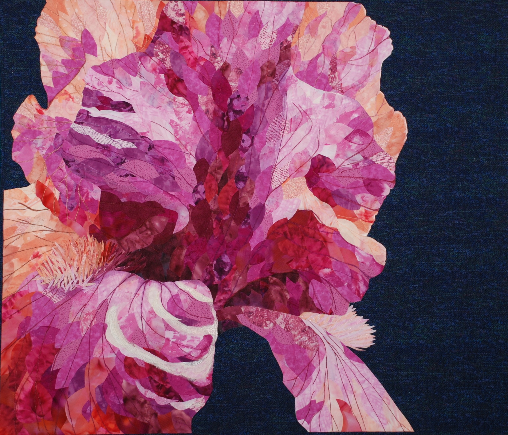 Iris Study