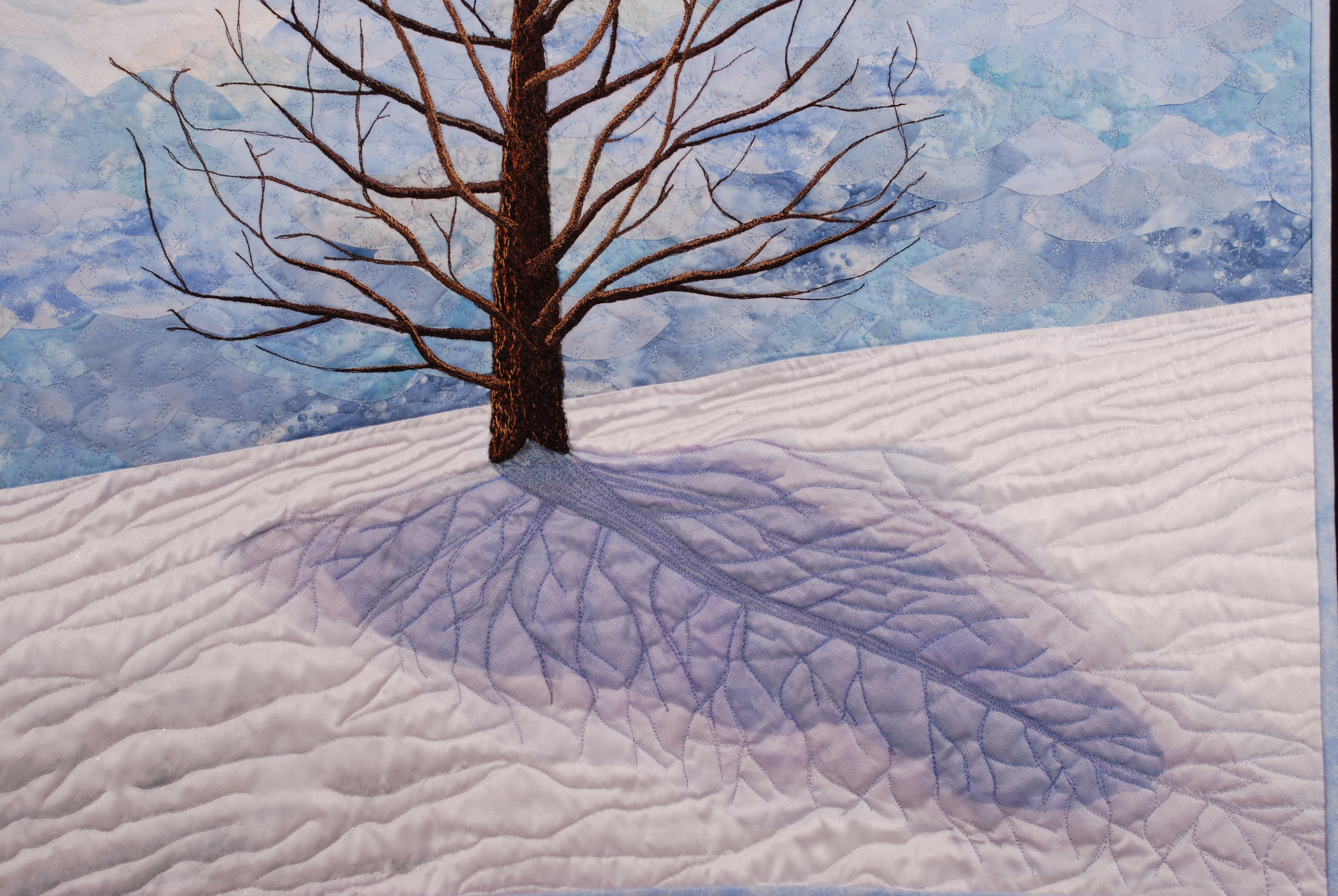 Detail, Dawn Redwood