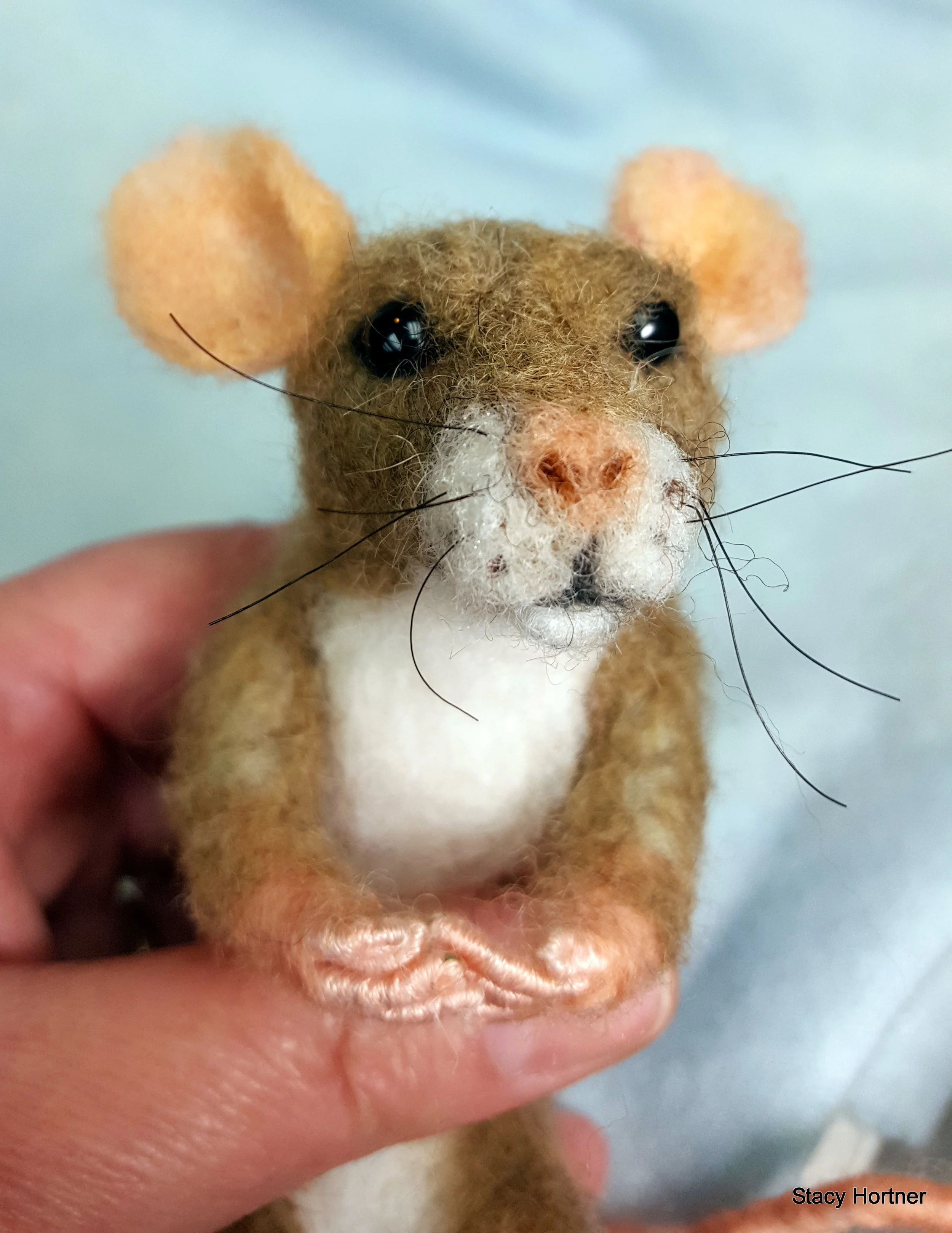 Mouse
