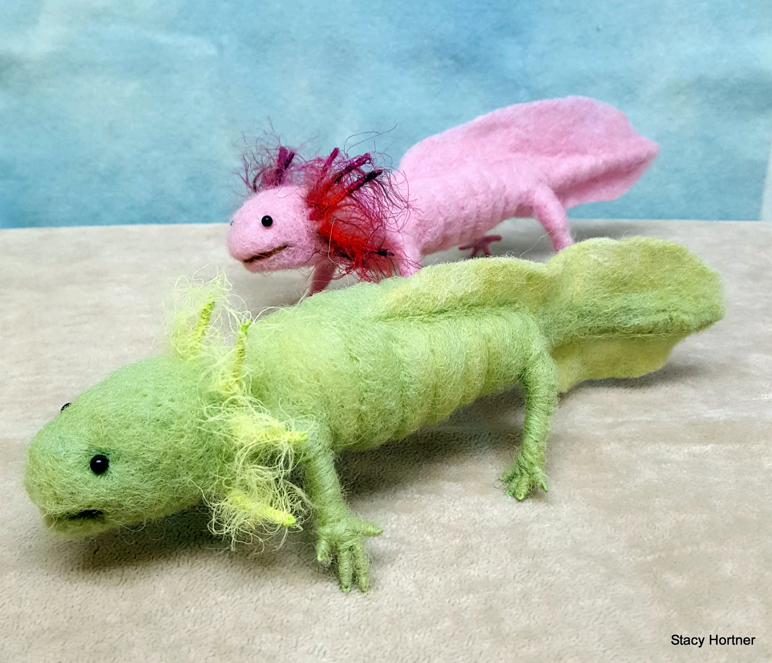 Axolotl