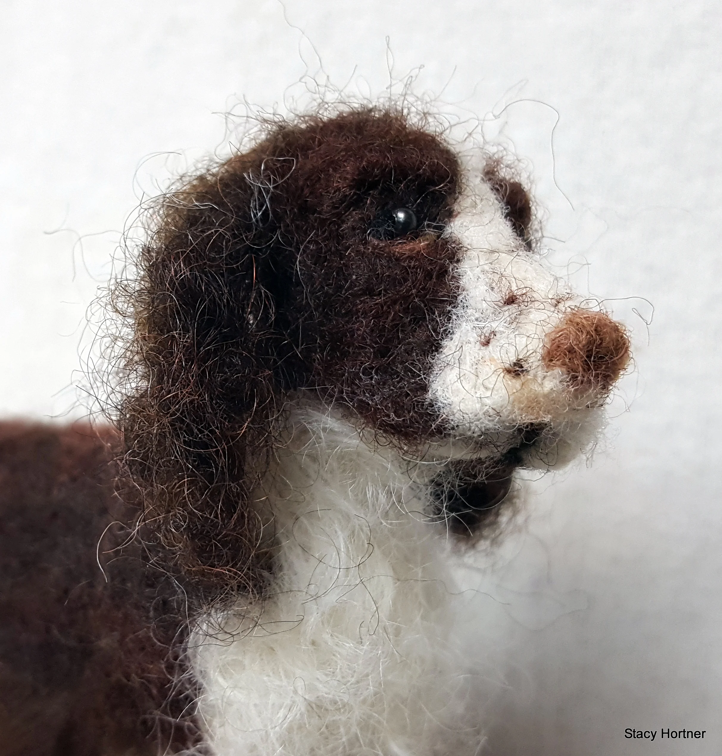 English Springer Spaniel