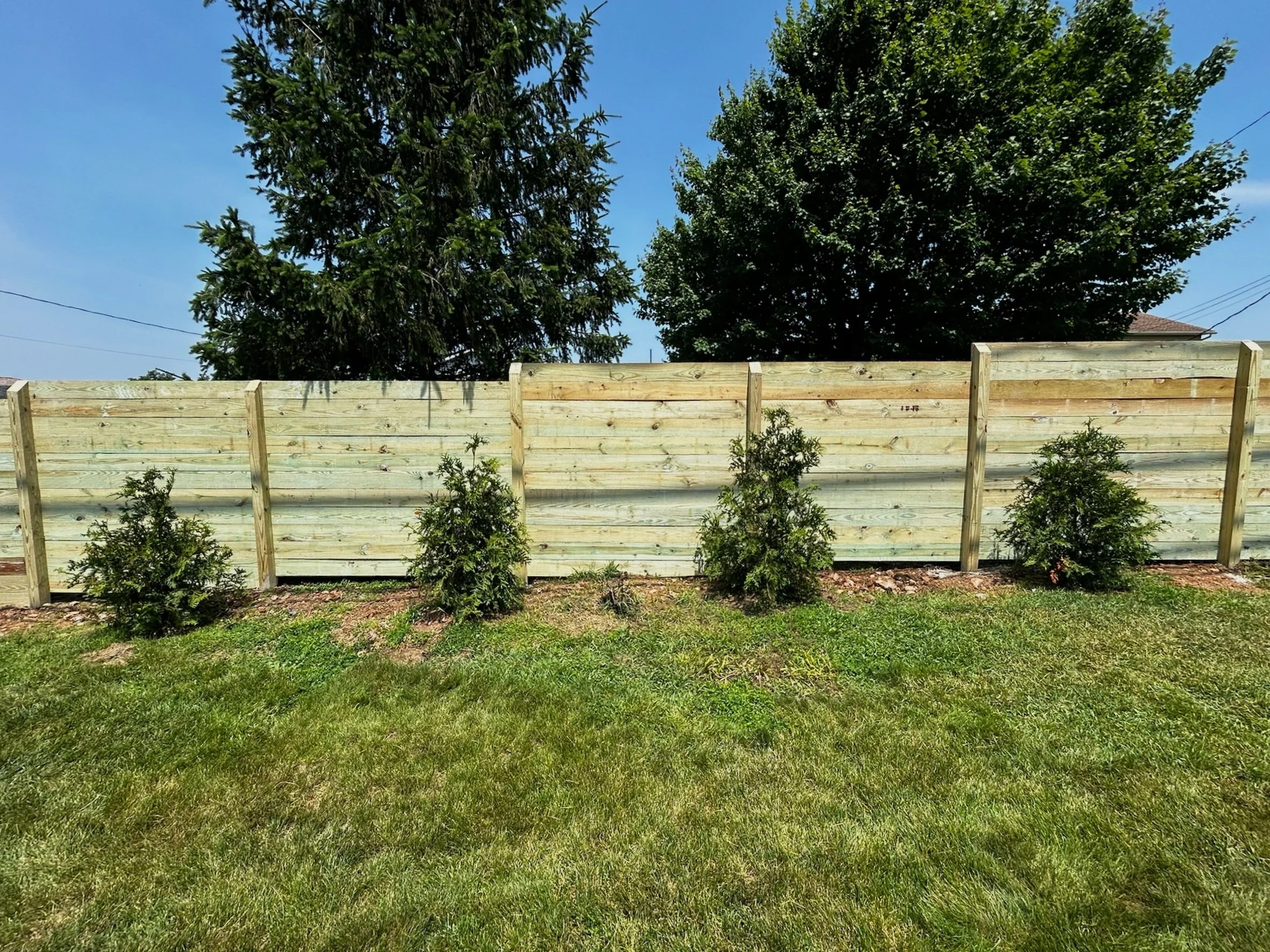 fence+3.jpg