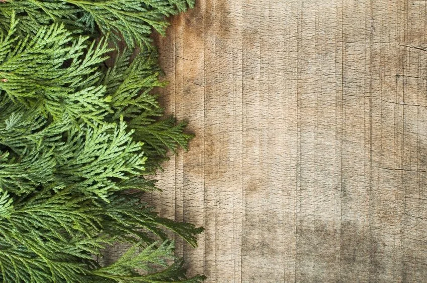 Happy Holidays from GBR