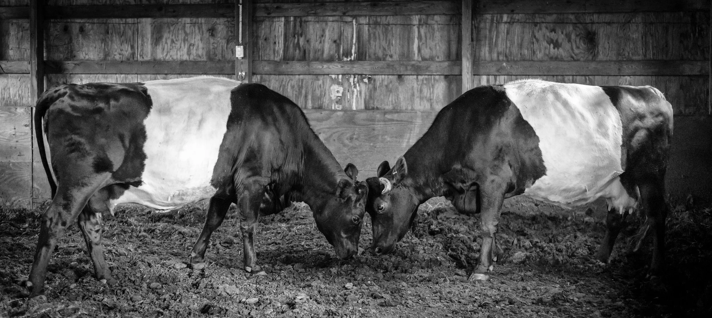 #LifeIsTheFarm-2.jpg