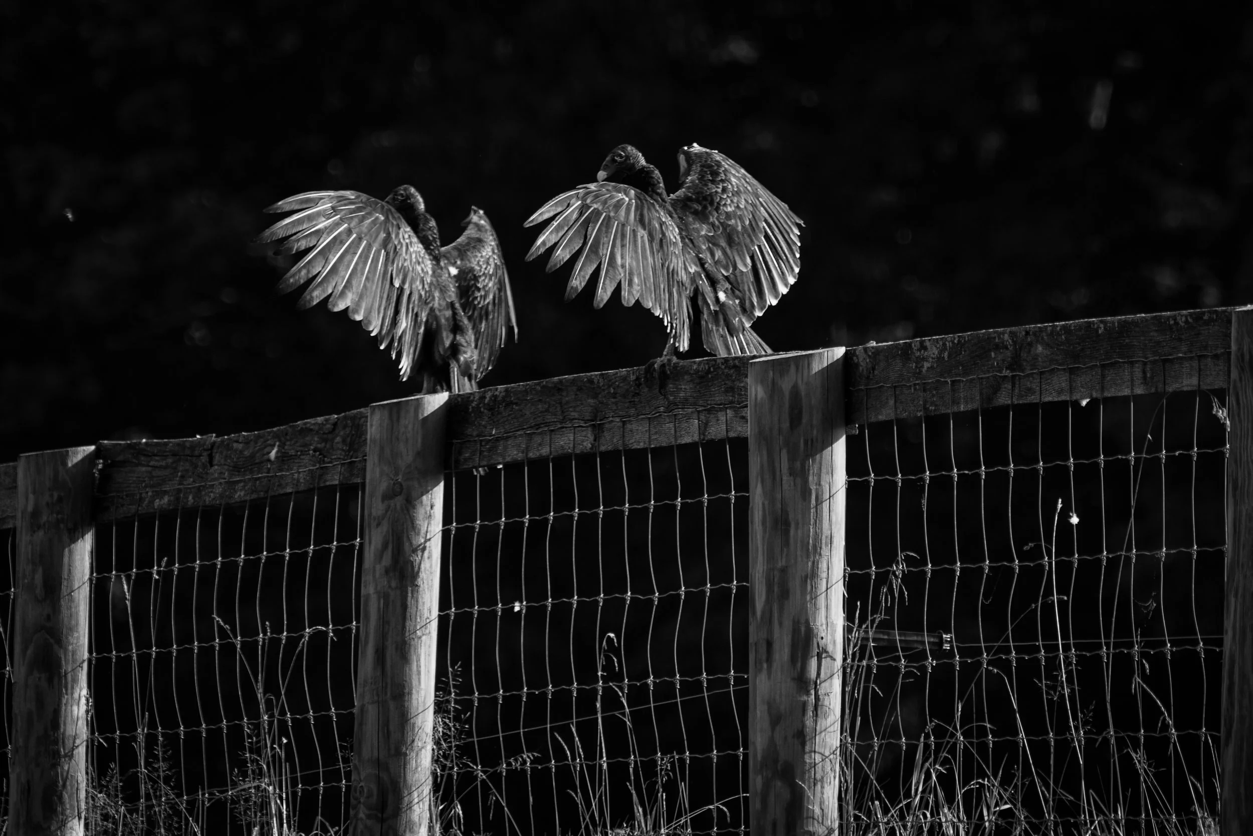 #LifeIsTheFarm-4.jpg