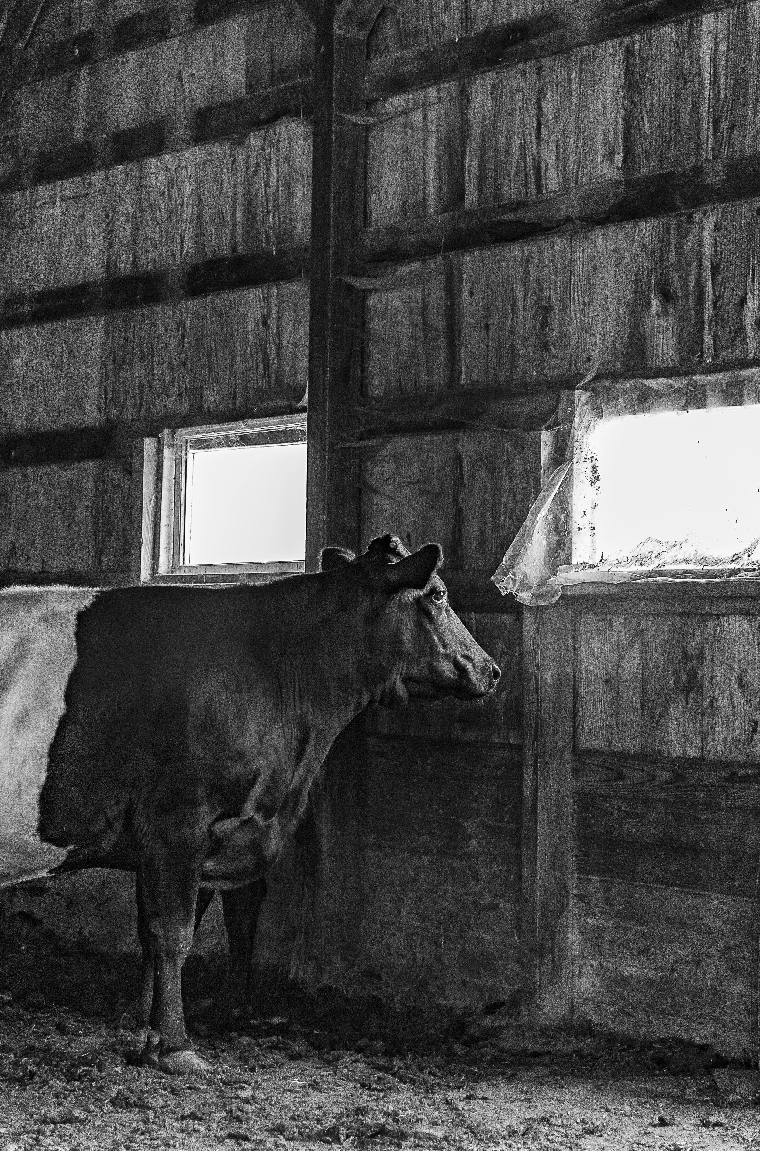 DevelopPhotoWeek Exhibition-9.jpg