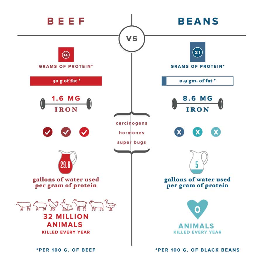 Information sourced from: Mercy For Animals .