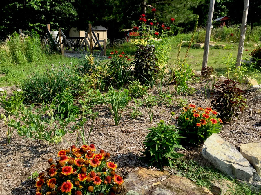 Hub-Farm-Garden.jpg